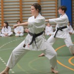 120_karShinkaiBozicnica