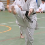 121_karShinkaiBozicnica