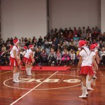 123_cheerdanceNovoletniPlesniFestival2015