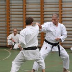 125_karShinkaiBozicnica