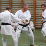 127_karShinkaiBozicnica