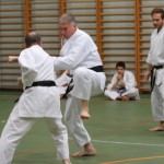 130_karShinkaiBozicnica