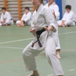 133_karShinkaiBozicnica