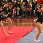 134_cheerdanceNovoletniPlesniFestival2015-1