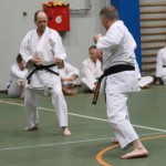 135_karShinkaiBozicnica