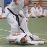 136_karShinkaiBozicnica