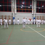 138_karShinkaiBozicnica