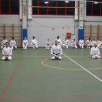 139_karShinkaiBozicnica