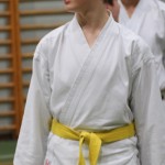 141_karShinkaiBozicnica