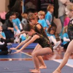 142_cheerdanceNovoletniPlesniFestival2015-1