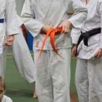 147_karShinkaiBozicnica