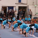 163_cheerdanceNovoletniPlesniFestival2015