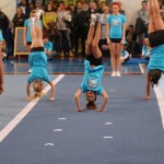 167_cheerdanceNovoletniPlesniFestival2015-1