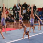 191_cheerdanceNovoletniPlesniFestival2015-1