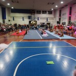 194_cheerdanceNovoletniPlesniFestival2015