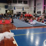 196_cheerdanceNovoletniPlesniFestival2015-1