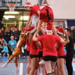 201_cheerdanceNovoletniPlesniFestival2015