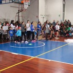 215_cheerdanceNovoletniPlesniFestival2015