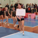 216_cheerdanceNovoletniPlesniFestival2015