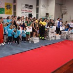 230_cheerdanceNovoletniPlesniFestival2015