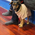 U18_BregJadran_Starenergy_031