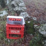 018_orienteeringBrezMeja-1