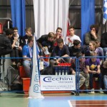 030_kosCliga_Bor-Breg