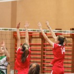 047_odbU14z_PoggivolleySokol