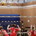 048_odbU14z_PoggivolleySokol