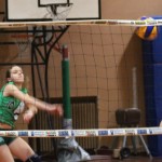 049_odbU14z_PoggivolleySokol