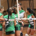 053_odbU14z_PoggivolleySokol