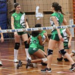 058_odbU14z_PoggivolleySokol