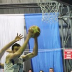 088_kosCliga_Bor-Breg