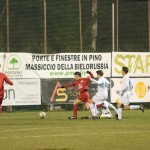 16012016-Kras-Vesna-jrs-010