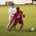 16012016-Kras-Vesna-jrs-052