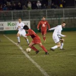 16012016-Kras-Vesna-jrs-204