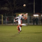 16012016-Kras-Vesna-jrs-221