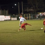 16012016-Kras-Vesna-jrs-436