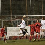 16012016-Kras-Vesna-jrs-635