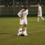 16012016-Kras-Vesna-jrs-751