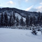 5058_FullSizeRender-2