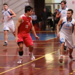 046_kosDliga_Kontovel-Alba