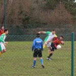 015_nog2AL_Padrice-SanCanzianBegliano