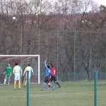 040_nog2AL_Padrice-SanCanzianBegliano