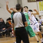 063_kosCliga_Jadran-Tarcento