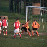 08_19032016_-_OL3_-_Kras_jrs-63