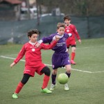 15_05032016_-_Kras_A_-_Zaule_Rabuiese_A_pulcini-180