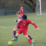 16_05032016_-_Kras_A_-_Zaule_Rabuiese_A_pulcini-185