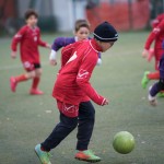 23_05032016_-_Kras_A_-_Zaule_Rabuiese_A_pulcini-270