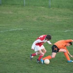 29_19032016_-_OL3_-_Kras_jrs-386